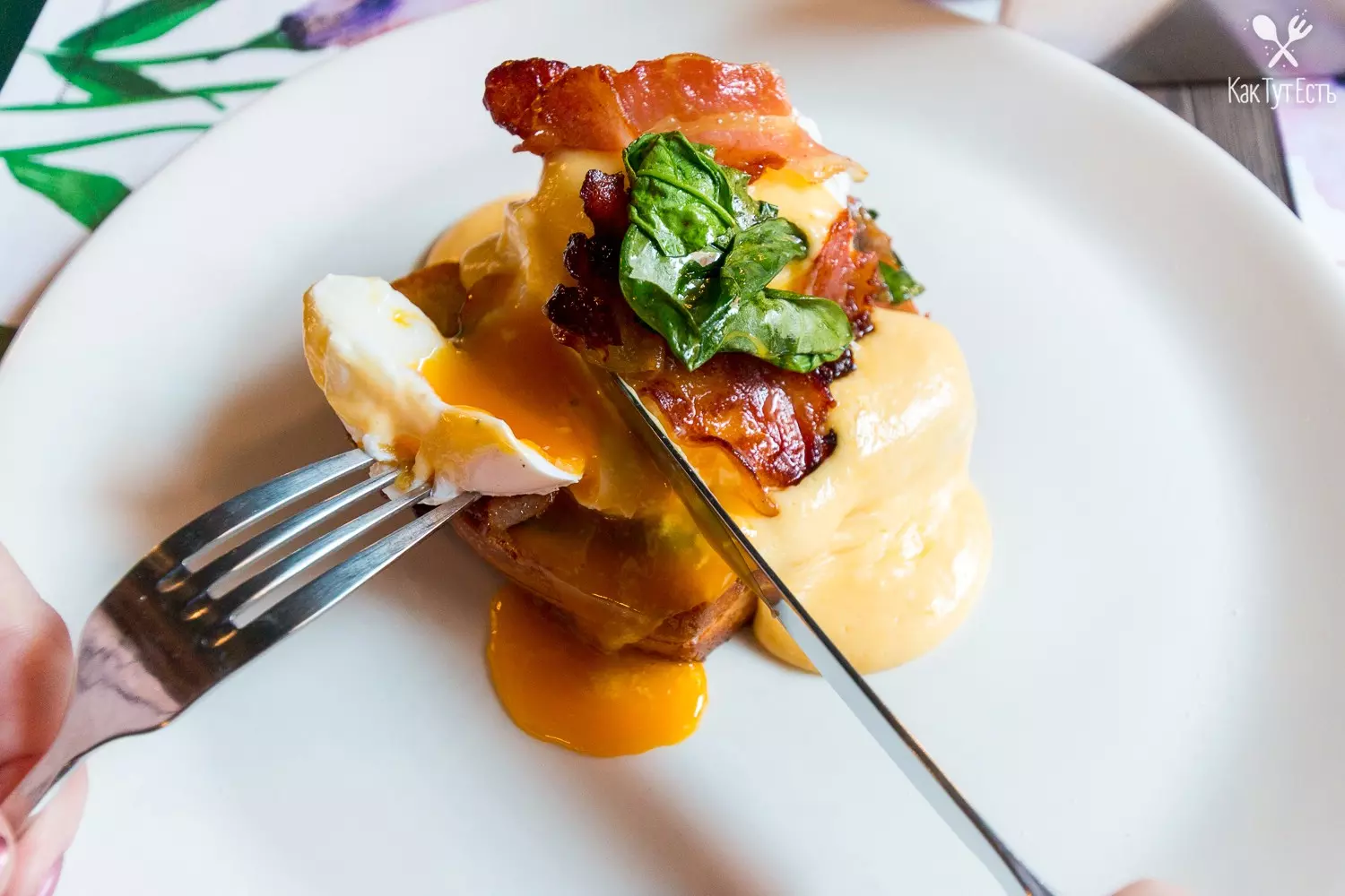 Гармонично, сытно и #musteat – пробуем новые завтраки в Milano Café
